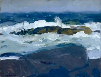 Récif rocheux, Maine